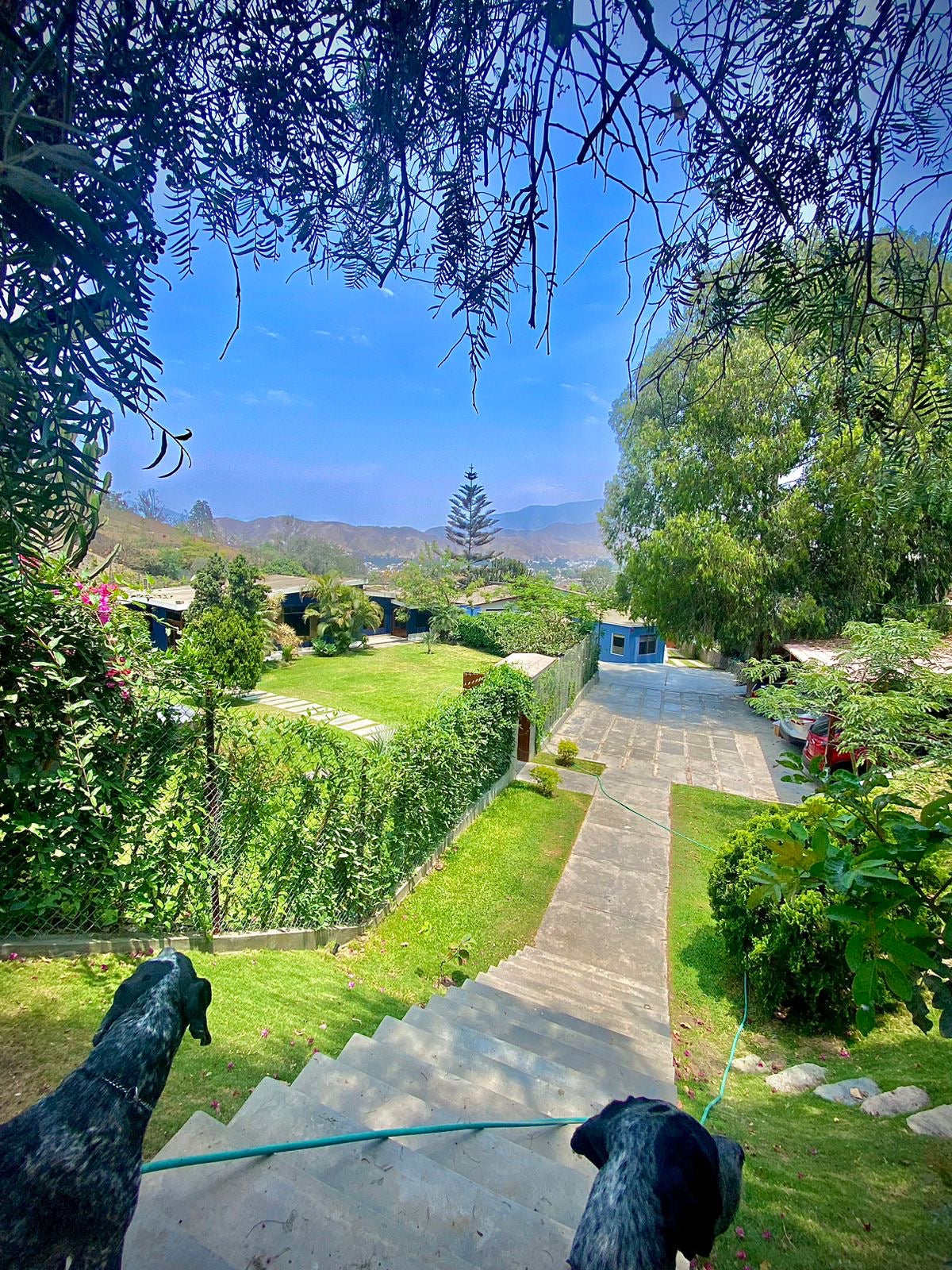 ALQUILER Casa en condominio, La Molina